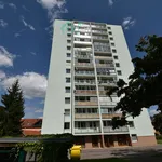 Rent 1 bedroom apartment in Chrudim