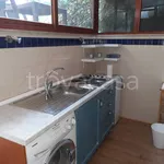 Rent 1 bedroom apartment of 30 m² in Roma