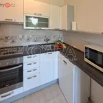 Rent 3 bedroom apartment in Beroun