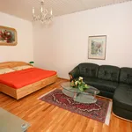 Miete 1 Schlafzimmer wohnung von 40 m² in Vienna