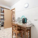 Rent 3 bedroom apartment of 84 m² in Oviedo