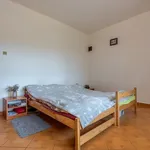 Rent 1 bedroom house in Teplice