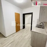 Rent 1 bedroom apartment in Břeclav