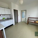 Pronajměte si 1 ložnic/e byt o rozloze 35 m² v Pilsen