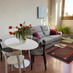 Rent 1 bedroom apartment of 50 m² in Siena