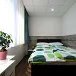 Miete 1 Schlafzimmer wohnung von 29 m² in Offenbach