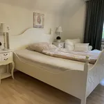 Rent 1 bedroom apartment of 45 m² in Cologne