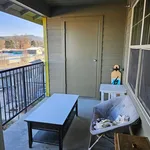 Rent 1 bedroom apartment in Eugene