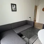 Huur 1 slaapkamer appartement van 42 m² in Den Haag