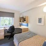 Rent 1 bedroom flat in Sheffield