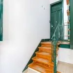 Rent 1 bedroom apartment in lisbon