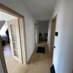 Rent 3 bedroom apartment of 65 m² in Pforzheim