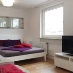 Miete 1 Schlafzimmer wohnung von 377 m² in Stuttgart