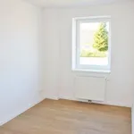 Rent 3 bedroom apartment of 59 m² in Schwerin