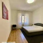 Rent 3 bedroom apartment of 120 m² in Milan