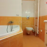 Rent 1 bedroom apartment of 44 m² in Praha