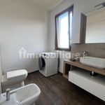 Rent 3 bedroom apartment of 65 m² in Biella