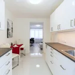 Pronájem bytu 2+1 52m²