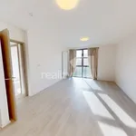 Rent 2 bedroom apartment in Brno