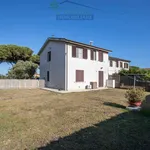 Rent 3 bedroom apartment of 65 m² in Capalbio