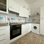 Rent 3 bedroom apartment of 60 m² in Pisa