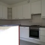 Rent 3 bedroom apartment of 142 m² in Emmen