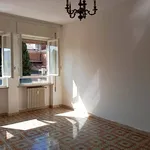 Rent 2 bedroom apartment of 71 m² in Terni