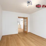 Rent 2 bedroom apartment of 56 m² in Opava