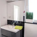 Rent 2 bedroom apartment of 70 m² in cologne