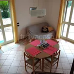 Rent 5 bedroom house of 150 m² in Bisceglie