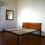 Rent 2 bedroom apartment of 60 m² in Alessandria