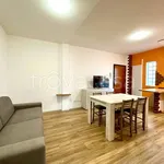 Rent 2 bedroom apartment of 50 m² in Jesolo