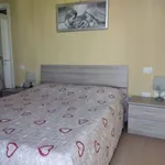 Rent 3 bedroom apartment of 70 m² in Alba Adriatica