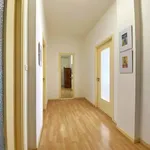 Rent 2 bedroom apartment of 55 m² in Turin