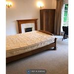 Rent 10 bedroom house in East Midlands