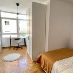 Rent a room in madrid