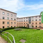 Rent 1 bedroom student apartment in Sheffield