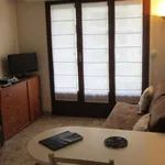 Rent 1 bedroom apartment of 20 m² in Marseille