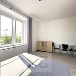 Rent 2 bedroom apartment in Praha 7