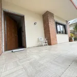 Affitto 7 camera appartamento di 150 m² in Pietrasanta