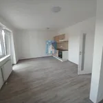 Rent 1 bedroom apartment in Plzeň