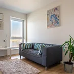 Miete 1 Schlafzimmer wohnung von 34 m² in Koblenz