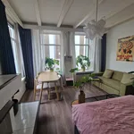 Rent a room of 19 m² in Binnenstad-Zuid