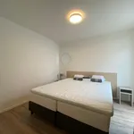 Huur 2 slaapkamer appartement van 55 m² in Hortusbuurt-Ebbingekwartier