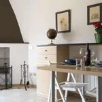 Rent 1 bedroom apartment of 45 m² in milan