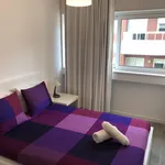 Rent 5 bedroom apartment in Porto