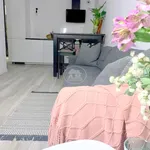 Rent 2 bedroom apartment of 43 m² in Wrocław