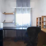 Rent 3 bedroom apartment in Madrid