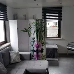 Rent 2 bedroom apartment of 65 m² in Stuttgart