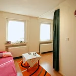 Rent 1 bedroom apartment in Arnsberg